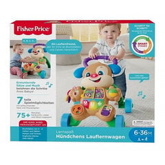 Fisher-Price Light plus Sound kävelijä (kieli: saksa) hinta ja tiedot | Vauvan lelut | hobbyhall.fi