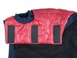 Takki Amiplay Bronx, 41 cm, punainen hinta ja tiedot | Koiran vaatteet | hobbyhall.fi