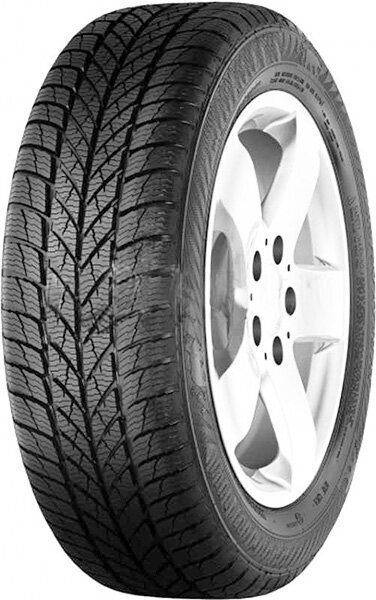 Paxaro INVERNO 215/50R17 95 V XL FR hinta ja tiedot | Talvirenkaat | hobbyhall.fi