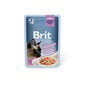 Kissanruoka Brit Premium Cat Delicate Salmon for Sterilised in Gravy 85g x 24 kpl hinta ja tiedot | Kissanruoka | hobbyhall.fi