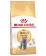 Kissanruoka Royal Canin British Shorthair 2 kg