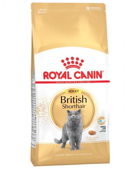 Kissanruoka Royal Canin British Shorthair 2 kg hinta ja tiedot | Kissan kuivaruoka | hobbyhall.fi