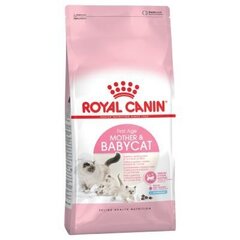 Royal Canin Babycat 4 kg hinta ja tiedot | Kissan kuivaruoka | hobbyhall.fi