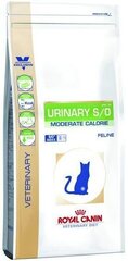 Royal Canin estää struviittikivien muodostumisen Cat urinary moderate calorie, 0,4 kg hinta ja tiedot | Kissan kuivaruoka | hobbyhall.fi
