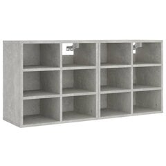 vidaXL Kenkäkaapit 2 kpl betoninharmaa 52,5x30x50 cm hinta ja tiedot | Olohuoneen kaapit ja lipastot | hobbyhall.fi