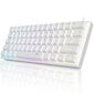 Magegee TS91 White, RGB, US hinta ja tiedot | Näppäimistöt | hobbyhall.fi