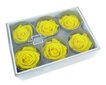 Kestoruusut Premium 6 kpl - Bright Yellow hinta ja tiedot | Kestoruusut | hobbyhall.fi