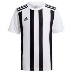 Miesten jalkapallopaita Adidas Striped 21 GV1377, valkoinen hinta ja tiedot | Jalkapallovaatteet ja -varusteet | hobbyhall.fi