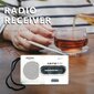 Kannettava AM/FM-radio hinta ja tiedot | Radiopuhelimet | hobbyhall.fi