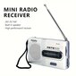 Kannettava AM/FM-radio hinta ja tiedot | Radiopuhelimet | hobbyhall.fi