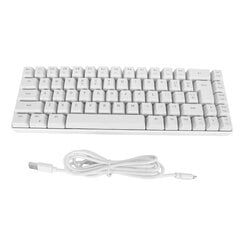 V200 Mekaaninen pelinäppäimistö Kannettava 68 näppäintä Langallinen RGB-taustavalaistu näppäimistö IBM PC Win98SE White hinta ja tiedot | Näppäimistöt | hobbyhall.fi