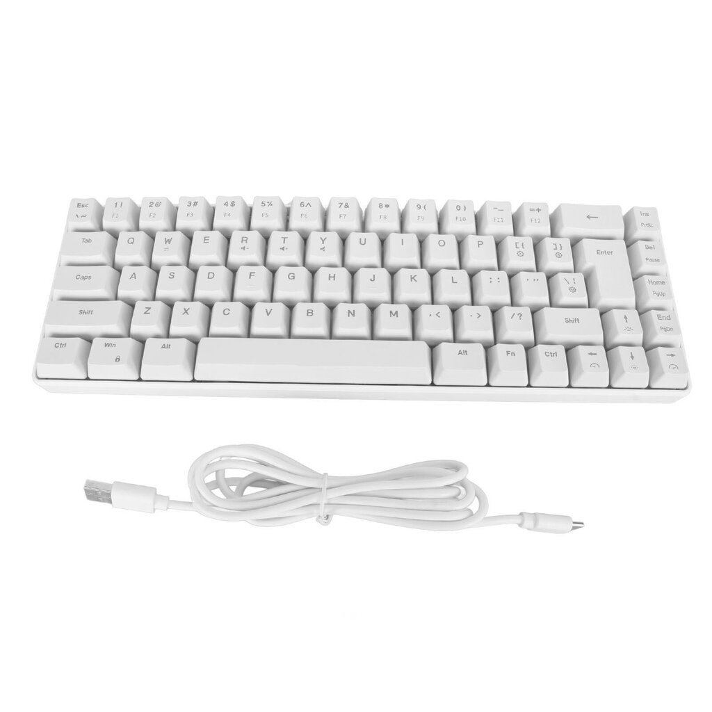 V200 Mekaaninen pelinäppäimistö Kannettava 68 näppäintä Langallinen RGB-taustavalaistu näppäimistö IBM PC Win98SE White hinta ja tiedot | Näppäimistöt | hobbyhall.fi