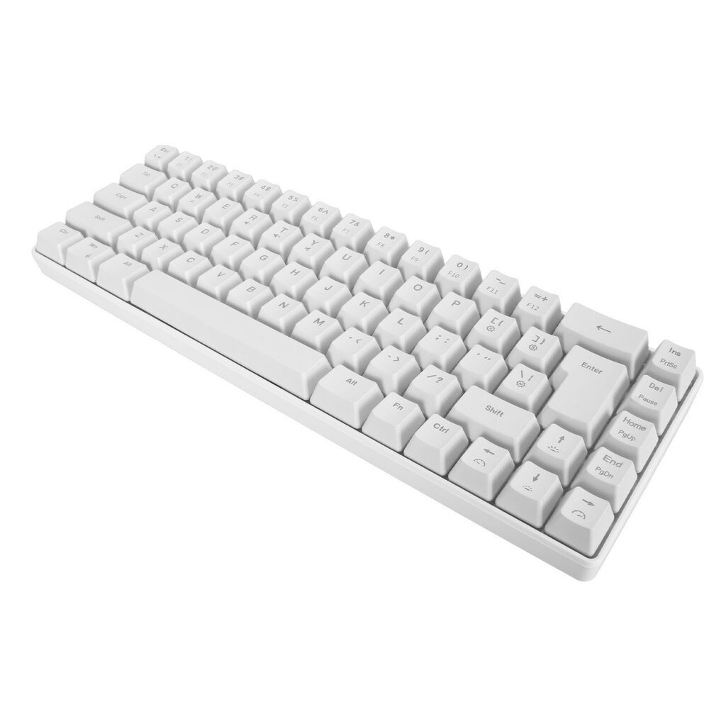 V200 Mekaaninen pelinäppäimistö Kannettava 68 näppäintä Langallinen RGB-taustavalaistu näppäimistö IBM PC Win98SE White hinta ja tiedot | Näppäimistöt | hobbyhall.fi