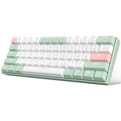 Magegee STAR61 Pink Lotus A, RGB, Ginger Cat Switch, US hinta ja tiedot | Näppäimistöt | hobbyhall.fi