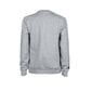 Takki Arena Crew Sweat Logo hinta ja tiedot | Miesten puserot ja hupparit | hobbyhall.fi