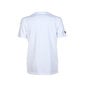 T-paita Arena T-Shirt Logo Cotton White hinta ja tiedot | Miesten T-paidat | hobbyhall.fi