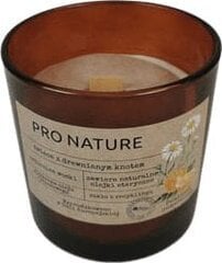 Muller tuoksukynttilä Pro Nature Orange &amp; Camomille, 1 kpl hinta ja tiedot | Kynttilät ja kynttilänjalat | hobbyhall.fi