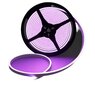 Neon LED-nauha Lucienstar LC-612, 5 m, violetti hinta ja tiedot | LED-valonauhat | hobbyhall.fi