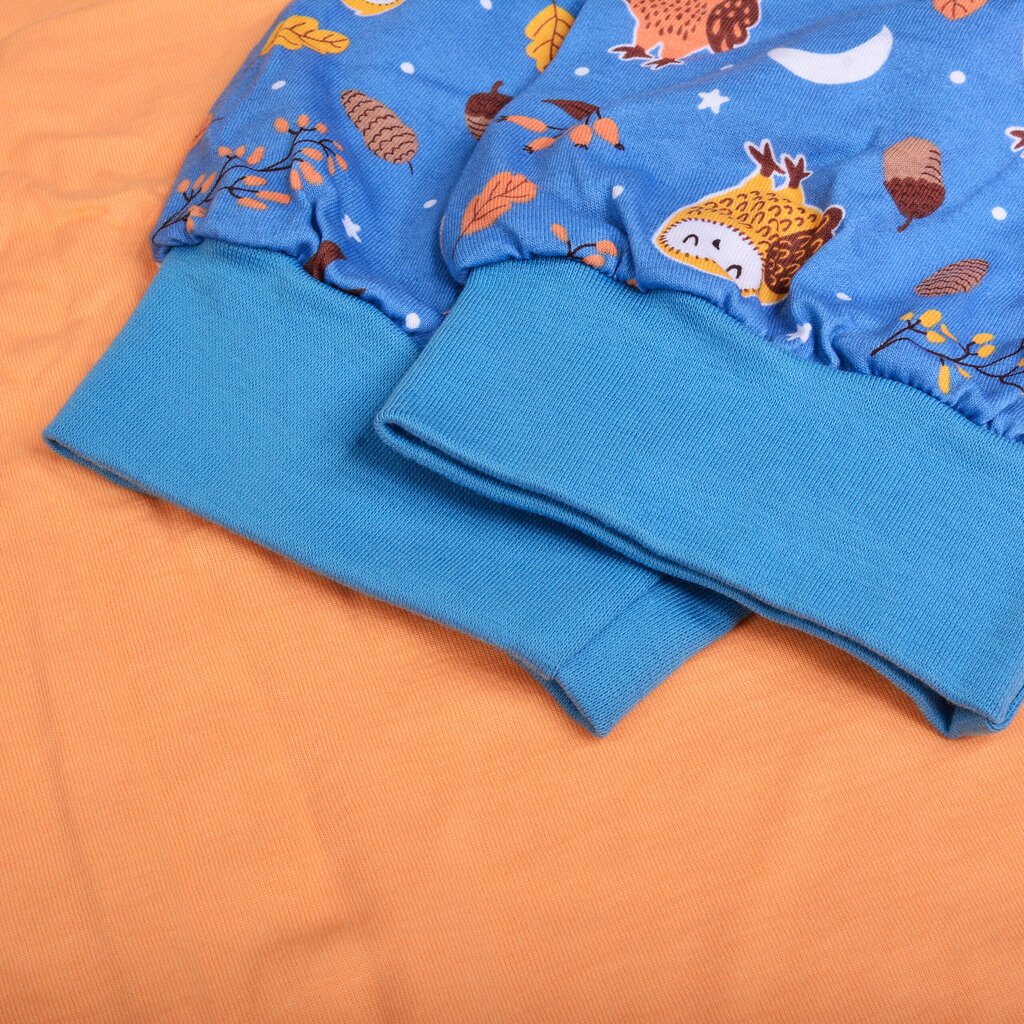 Naisten pyjama CORNETTE OWLS 467/373 Puuvilla beige pöllö hinta ja tiedot | Yöasut ja pyjamat | hobbyhall.fi