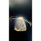 Lahjapussit - organza, 7 x 9 cm - koruille, jalokivikoruille, karamelleille, hääjuhliin, lahjapaketointiin. 100 kpl. hinta ja tiedot | Lahjapaketointi | hobbyhall.fi