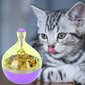 Hauska Pet Bowl Feeder Roly Poly Food Leakage Ball Interaktiivinen lelu kissan koiralle Purppura ABS hinta ja tiedot | Kissan lelut | hobbyhall.fi