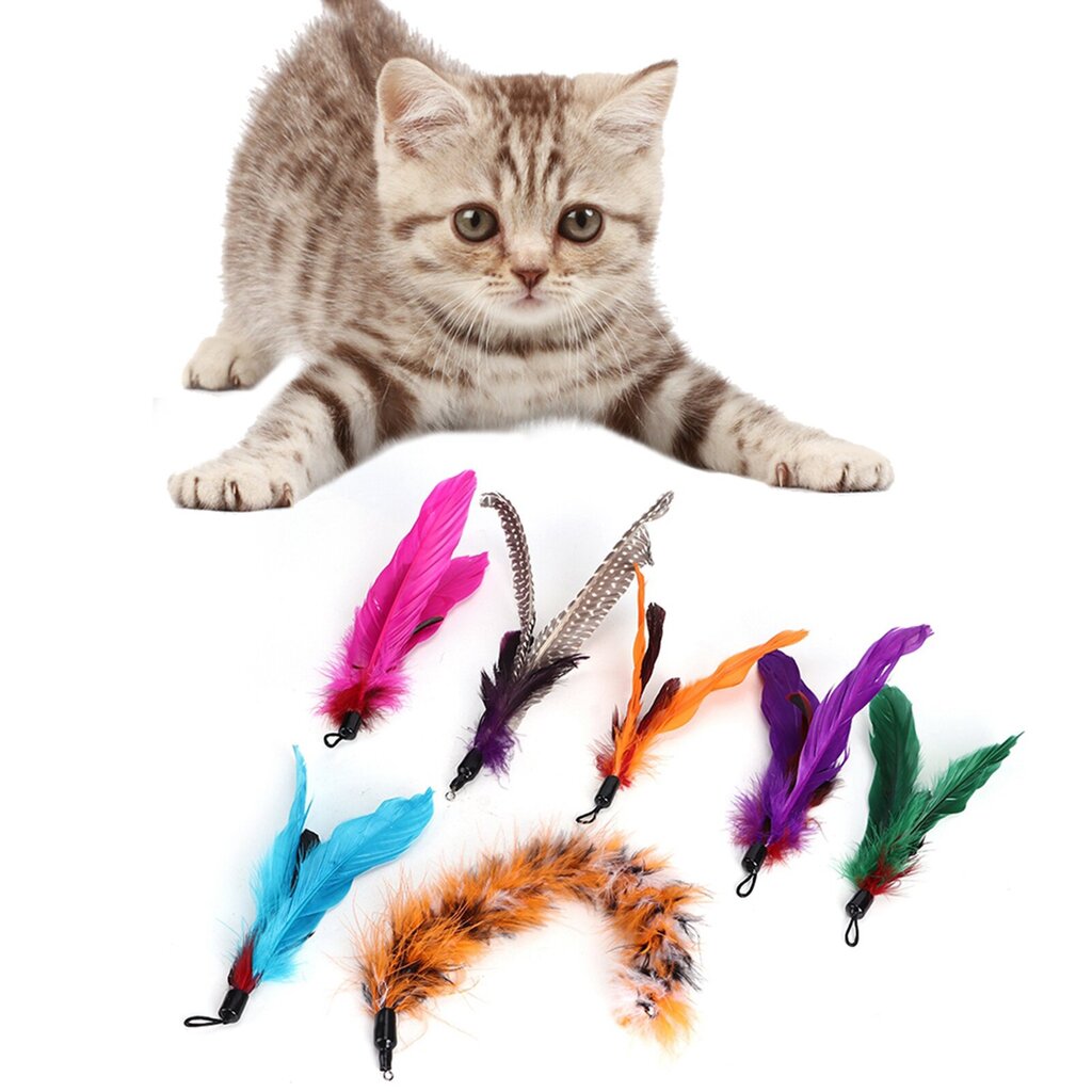 7 kpl Pet Cat Teaser Dannger Toy Rod Stick höyhenen vaihtopään kissojen tarvikkeet hinta ja tiedot | Kissan lelut | hobbyhall.fi