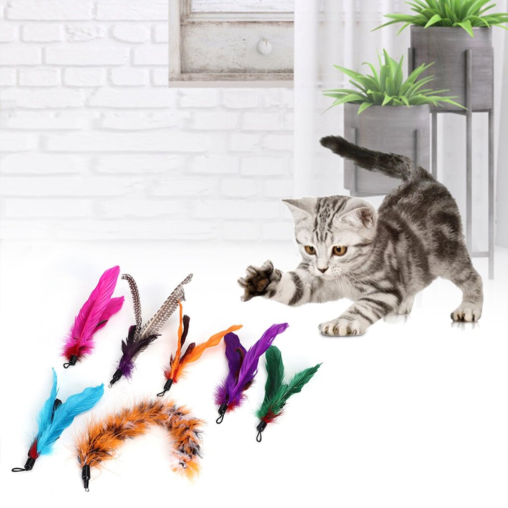 7 kpl Pet Cat Teaser Dannger Toy Rod Stick höyhenen vaihtopään kissojen tarvikkeet hinta ja tiedot | Kissan lelut | hobbyhall.fi