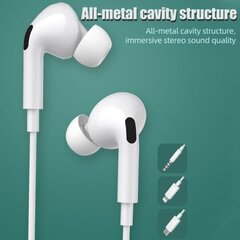 In-ear kuulokkeet USB-C HIFI Stereo hinta ja tiedot | Kuulokkeet | hobbyhall.fi