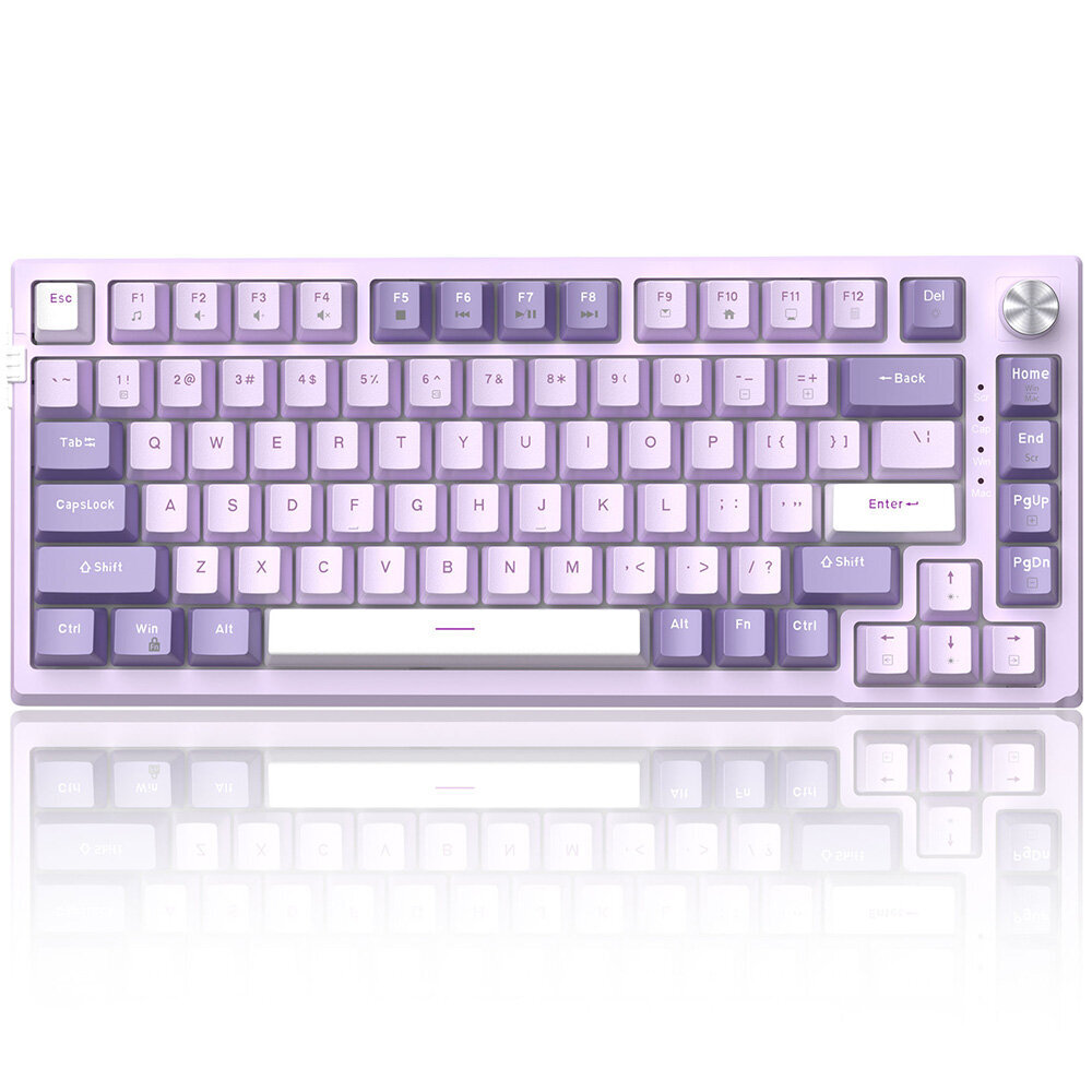 Magegee SKY81 Violet A, RGB, Violet Switch, US hinta ja tiedot | Näppäimistöt | hobbyhall.fi