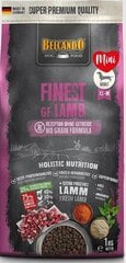 Belcando Finest GF Lamb pienten ja keskikokoisten rotujen aikuisille koirille, 1 kg lammasta hinta ja tiedot | Koiran kuivaruoka | hobbyhall.fi