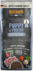 Belcando Puppy GF Poultry kaikkien rotujen pennuille enintään 4 kuukautta 12,5 kg hinta ja tiedot | Koiran kuivaruoka | hobbyhall.fi