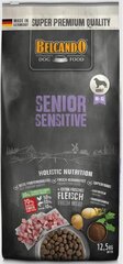 Belcando Senior Sensitive vanhemmille koirille, jotka painavat normaalisti 12,5 kg hinta ja tiedot | Koiran kuivaruoka | hobbyhall.fi