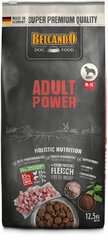 Belcando Adult Power erittäin aktiivisille tai tiineille koirille, 12,5 kg hinta ja tiedot | Koiran kuivaruoka | hobbyhall.fi