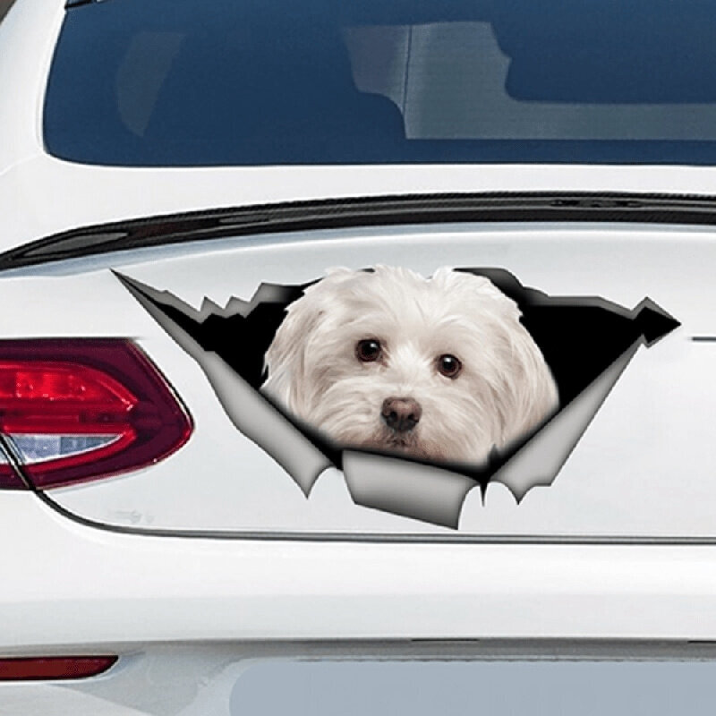 Söpö bichon Deal auton tarra hinta ja tiedot | Lisätarvikkeet autoiluun | hobbyhall.fi