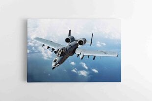 Rynnäkkökone A-10C Thunderbolt II hinta ja tiedot | Taulut | hobbyhall.fi