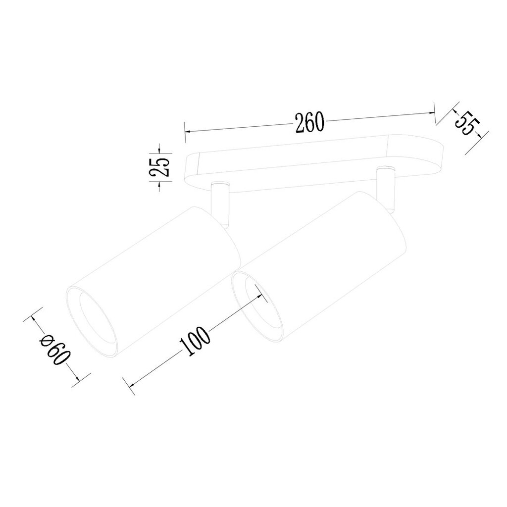 Kaksinkertainen kattovalaisin Pipe Spot 2xGU10, musta hinta ja tiedot | Kattovalaisimet | hobbyhall.fi