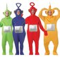 Tinky Winky Teletapit Adult Fancy Dress Polttarit puku punainen 180cm hinta ja tiedot | Naamiaisasut | hobbyhall.fi