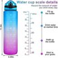 1000ml vapaa motivoiva urheilukannu, jossa on aikamerkintä Outdoor Fitness Mug Gradient Color Mug Outdoor Frosted vesipullo hinta ja tiedot | Juomapullot | hobbyhall.fi