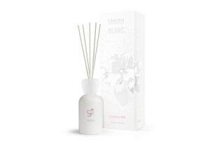 Mr&Mrs BLANC Jasmine Of Ibiza 250ml, Liquid diffuser, Jasmine hinta ja tiedot | Huonetuoksut | hobbyhall.fi