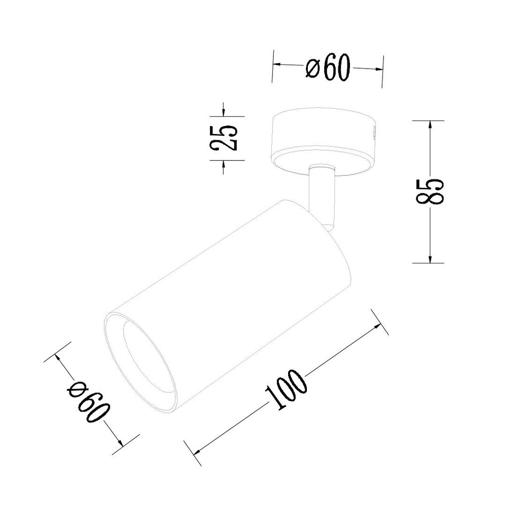 Valkoinen Pipe Spot -valaisin 1xGU10 hinta ja tiedot | Kattovalaisimet | hobbyhall.fi