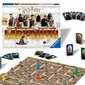 HARRY POTTER Labyrinth -lautapeli hinta ja tiedot | Lautapelit ja älypelit | hobbyhall.fi