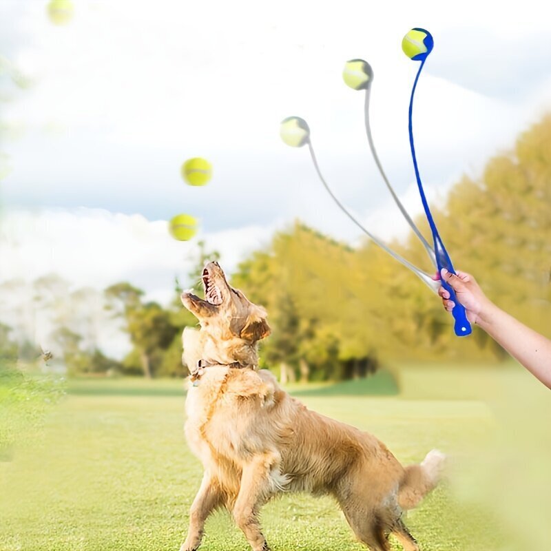 Koiran pallonheitin, sininen hinta ja tiedot | Koiran lelut | hobbyhall.fi