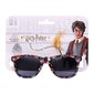 Harry Potter aurinkolasit hinta ja tiedot | Lasten asusteet | hobbyhall.fi