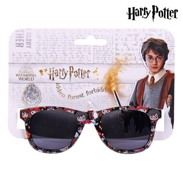 Harry Potter aurinkolasit hinta ja tiedot | Lasten asusteet | hobbyhall.fi