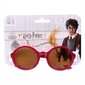 Harry Potter aurinkolasit hinta ja tiedot | Lasten asusteet | hobbyhall.fi