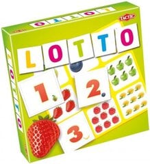 Taktinen lautapeli numeroilla ja hedelmä Lotto hinta ja tiedot | Lautapelit ja älypelit | hobbyhall.fi