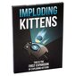 Exploding Kittens Exploding Kittens -laajennuspaketti - kortit hinta ja tiedot | Lautapelit ja älypelit | hobbyhall.fi