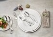 Villeroy & Boch Aterinsetti Victor 68-os, hinta ja tiedot | Ruokailuvälineet | hobbyhall.fi