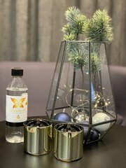 Tenderflame Gift Set, 2 Tabletop burners hinta ja tiedot | Kynttilät ja kynttilänjalat | hobbyhall.fi