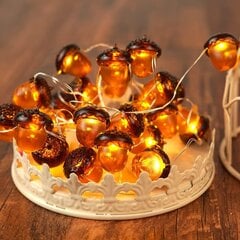 3D Acorn Fall Decor Harvest String String Lights Akkukäyttöinen kaukosäätimellä ja ajastimella 10 jalkaa 30 LEDiä kiitospäiväkoristeiden valot hinta ja tiedot | Puutarha- ja ulkovalot | hobbyhall.fi